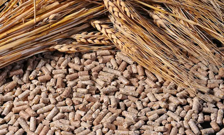 جدول مصرف کنسانتره برای دام