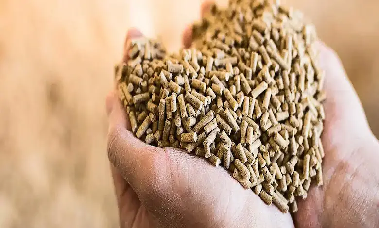 خوراک پلت چیست و چه مزایایی دارد؟