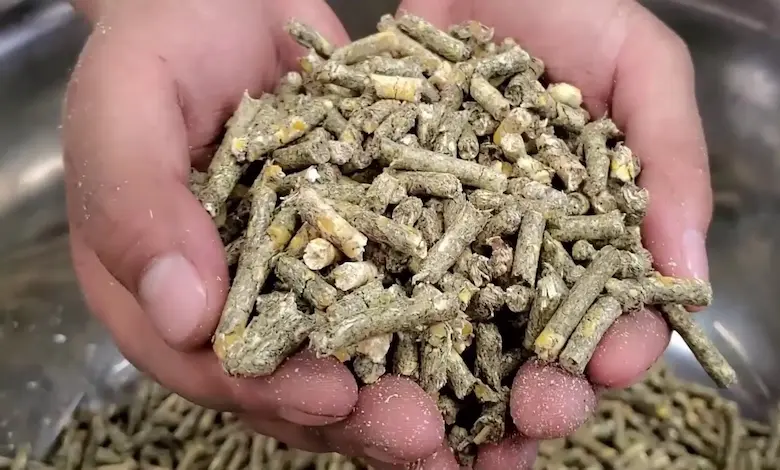 پلت وارداتی بخریم یا داخلی