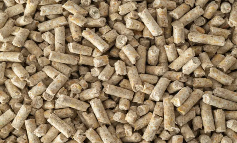 معایب تغییر خوراک پلت مرغ چیست