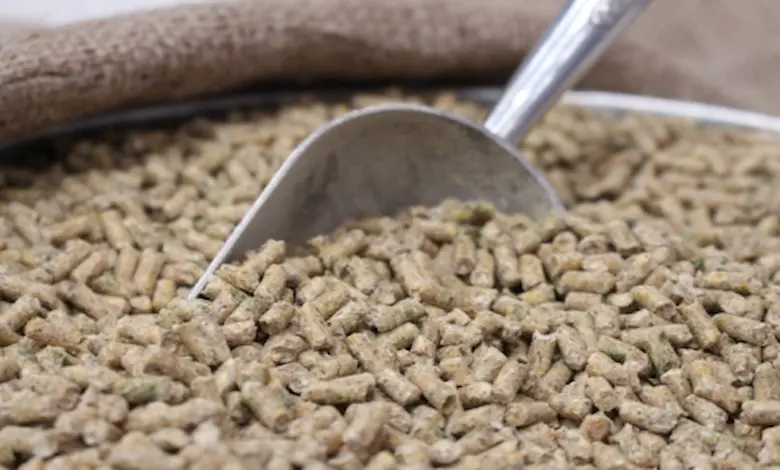 مواد تشکیل دهنده پلت مرغ چیست و چه مزایایی دارند